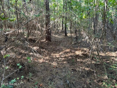 0 Knight Way SE, Winnabow, NC 28479 - photo 7