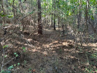 0 Knight Way SE unit 100542829, Winnabow, NC 28479 - photo 7