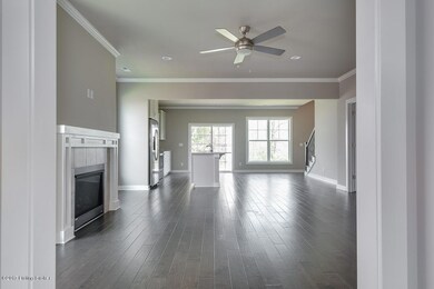 10105 Long Home Rd, Louisville, KY 40291 - photo 6