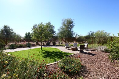 Backyard2