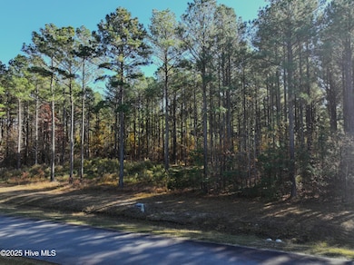 213 Nautical, Edenton, NC 27932 - photo 2