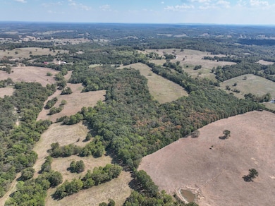 000 Route Af, Ava, MO 65608 - photo 6