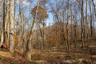 107 Vistawilla Dr, Glenville, NC 28736 - photo 7