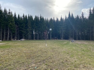 N5353 County Rd E, Deerbrook, WI 54424 - photo 4