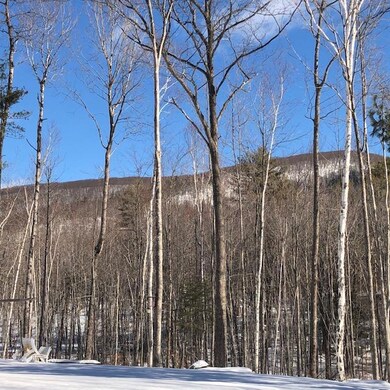 17 Sunny Ln, Hiram, ME 04041 - photo 5