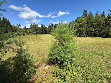 4366 Vermont Route 100, Hyde Park, VT 05655 - photo 2