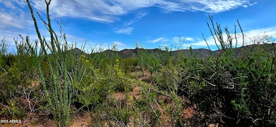Lots 3 & 4 S Lonesome Dr unit 3, Hereford, AZ 85615 - photo 7