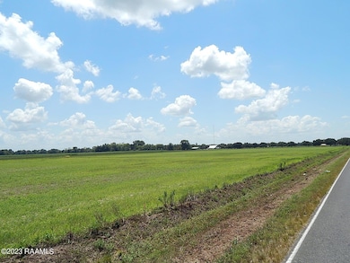 DSCN5732
