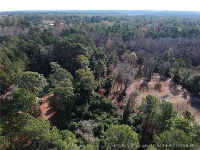 0 Blake Drive and Off Highway 401 Dr, Raeford, NC 28376 - photo 7