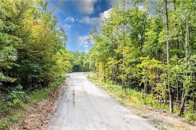 369 Frances Fir Rd, Broken Bow, OK 74728 - photo 6