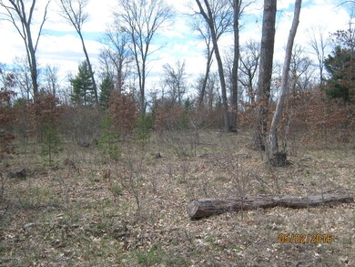 0 Peacock Trail Parcel ''B'', Baldwin, MI 49304 - photo 4