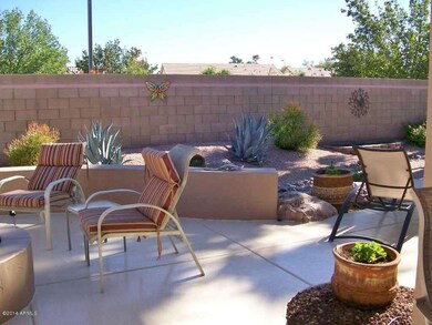 Back yard