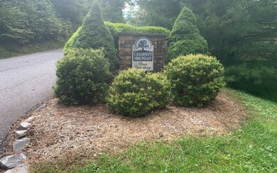 Additional View