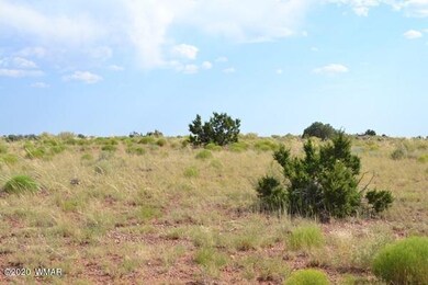 8775 E Concho Highway 002