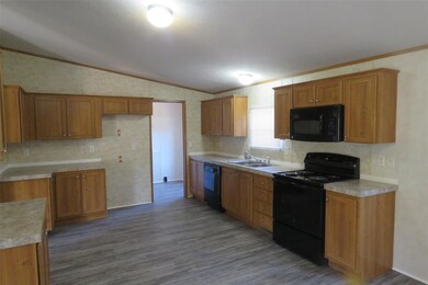 116 Brazos Valley Ln, Weatherford, TX 76087 - photo 4