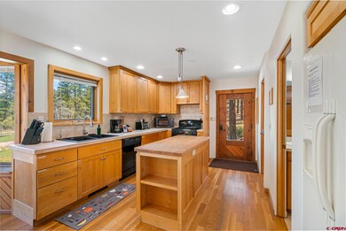 5010 County Road 228, Durango, CO 81301 - photo 5