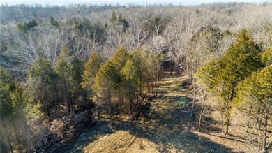 Cleared area at top of driveway