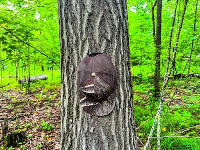 TBD U S 12, Wilson, WI 54027 - photo 6