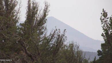 DSCF6418