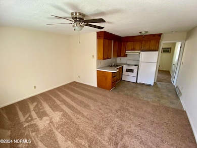 2903 E 5th St unit 21, Greenville, NC 27858 - photo 4