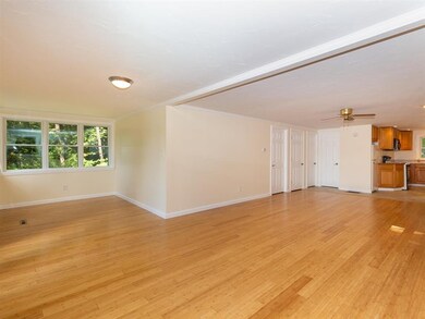 47 New Hampshire Dr, Webster, NH 03303 - photo 5