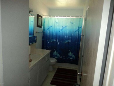 Hall Bathroom!