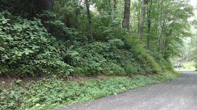 200 BLOCK Gordner Ln, Delaware Township, PA 17756 - photo 2