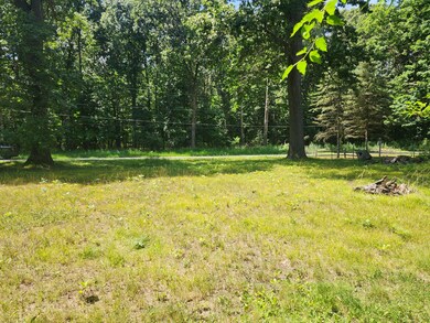 V/L 35 1 2 St, Paw Paw, MI 49079 - photo 3