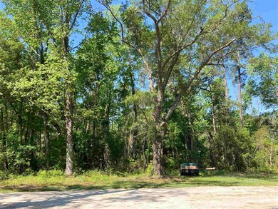 5119 Juniper Bay Rd, Conway, SC 29527 - photo 6