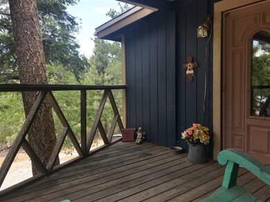 5 Turkey Trail unit 1, Cloudcroft, NM 88317 - photo 4