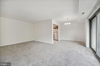 6147 Leesburg Pike unit 407, Falls Church, VA 22041 - photo 4