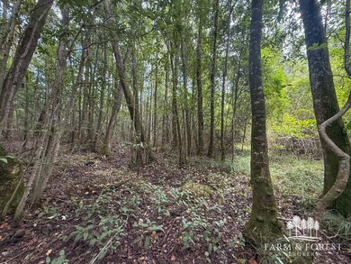 XX7 Alred Rd, Westville, FL 32464 - photo 4