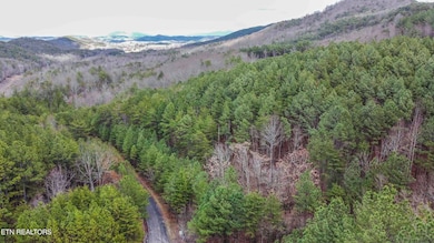 Harlan Mtn