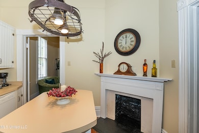 729 N Pearl kitchen fireplace