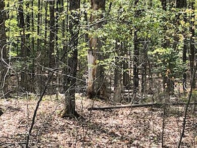 Lot 19 Shore Rd, Dexter, ME 04930 - photo 7