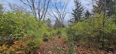 Path to Creek