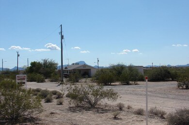 DSC05328