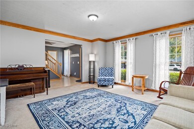 8447 Forest View Dr, Olmsted Falls, OH 44138 - photo 4