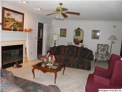 Spacious Living Room with woodburning fireplace wi