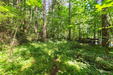 17937 Clear Lake Blvd SE, Yelm, WA 98597 - photo 3