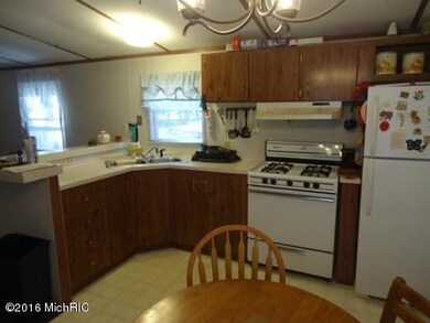 12188 N Bingham Ave, Bitely, MI 49309 - photo 6