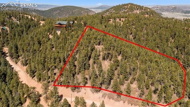2255 Elk Park Rd, Larkspur, CO 80118 - photo 4