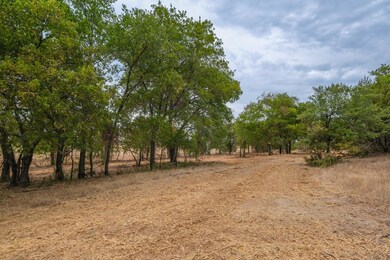 Lot 1 Pine Rd, Poolville, TX 76487 - photo 6