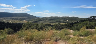 Lot 3862 Fontaine Rd, Fort Garland, CO 81133 - photo 4