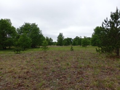 P6050146