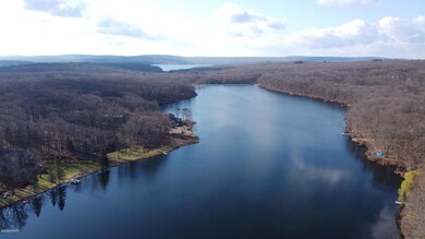 1074 Acacia Dr, Paupack Township, PA 18428 - photo 3