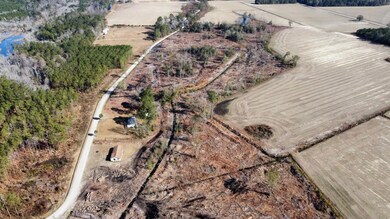 Tbd Shelley Road Coventry Rd, Nichols, SC 29581 - photo 7