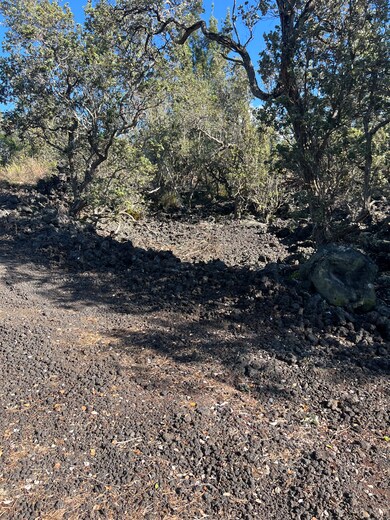 0 Aloha Blvd unit 726172, Ocean View, HI 96737 - photo 2