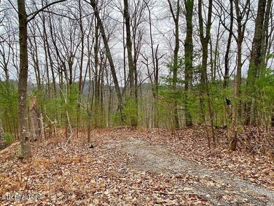 0 Oliver James Way unit 1278736, Sevierville, TN 37862 - photo 6