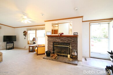 8241 Spring Rd NW, Stanton, MI 48888 - photo 5